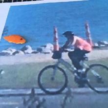 gold fish in Matagorda Bay comes to orange traffic cones to relay message to orange biker to Chris O'Neil: "Mend!"